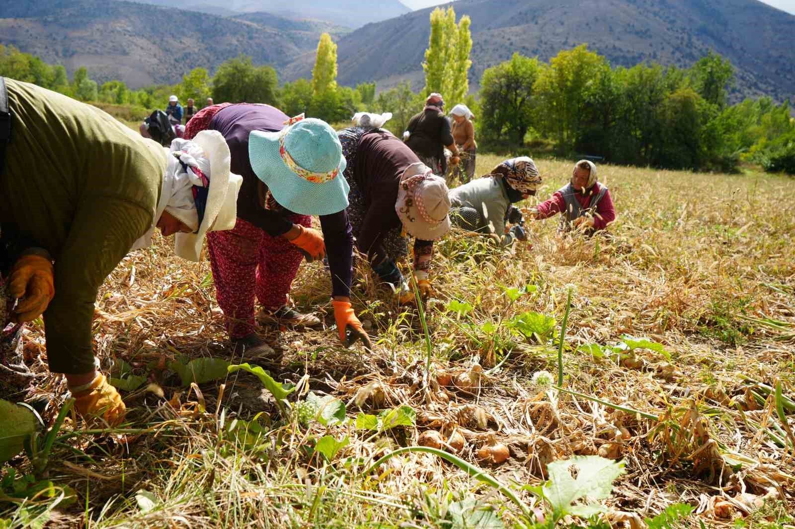 Erzincan'a 169,6 milyon liralık tarımsal hibe desteği