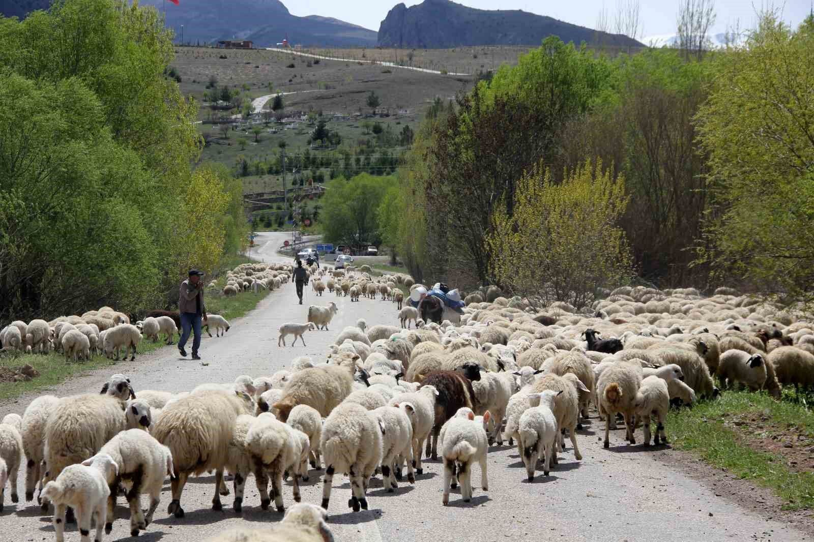 Erzincan'da yaylacılar, 5 aylık sezonun ardından dönüş yolculuğuna başladı