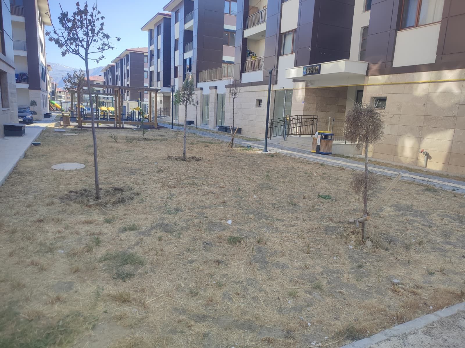Kızılay TOKİ'de Çimler Kurudu, Bahçeler Bakımsız Kaldı